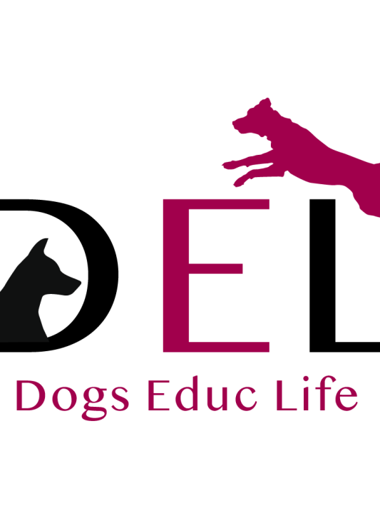 logo-dogs-educ-life
