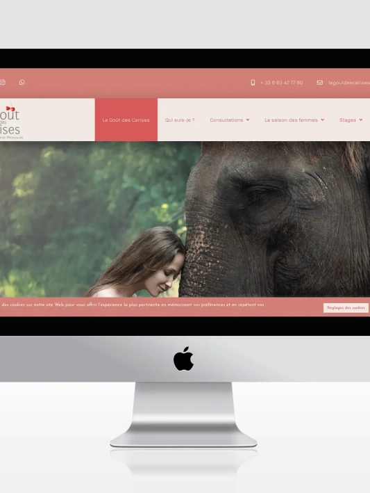 Refonte site Goût Cerises.