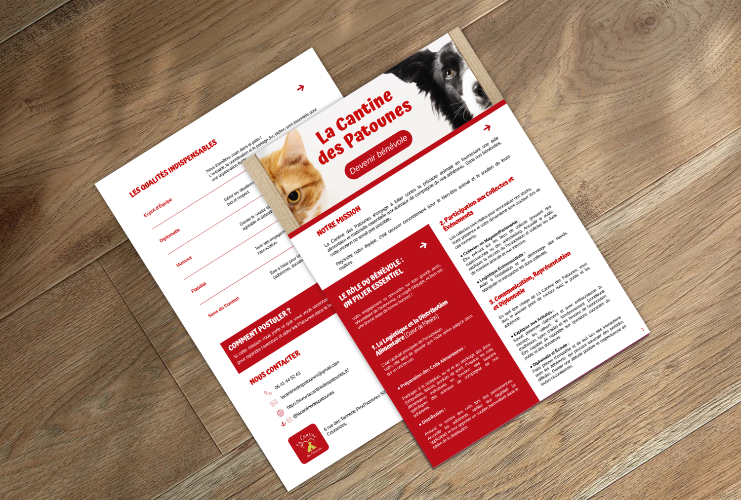 Flyer explicatif pour devenir bénévole au sein de l'association